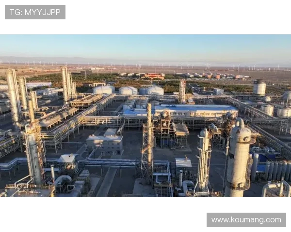 新疆广汇引领区域经济发展助力多元产业升级与创新战略实施