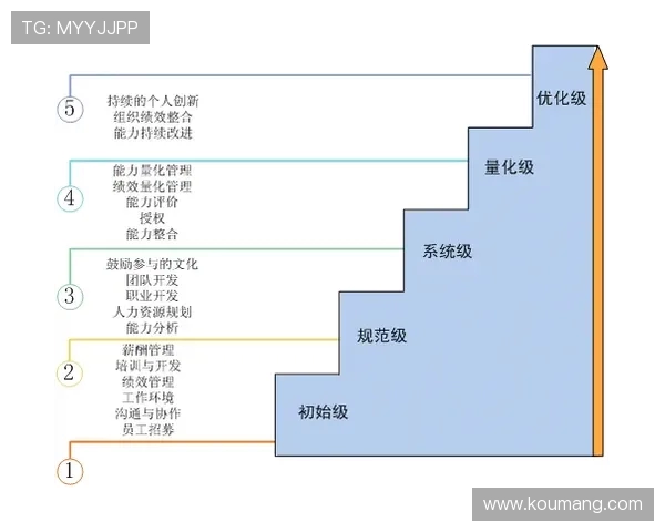 北京羽毛球队挑战赛个人能力分析与表现评估