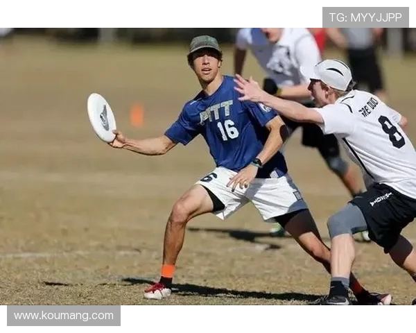 广州飞盘队耐力研究：探索飞盘运动员的体能极限与训练方法