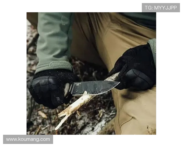 重庆极限运动队战术探讨与训练策略的深度剖析